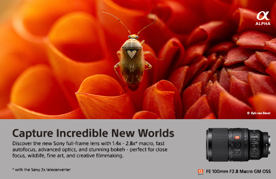 SEL100M28 Macro Lens