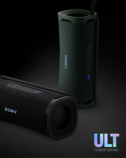 Wireless speakers category picture