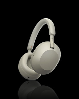 Headphones category picture