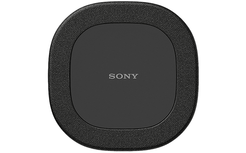 SARS8.CEJ Secondary Image