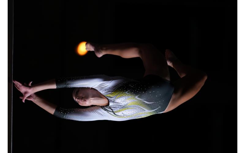 SEL300F28GM Sample Image