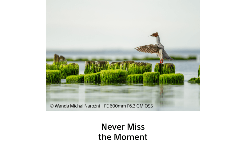 SEL600F63GMw