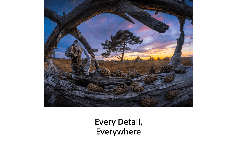 SEL814GB