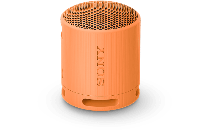 SRSXB100D.CE7 Secondary Image