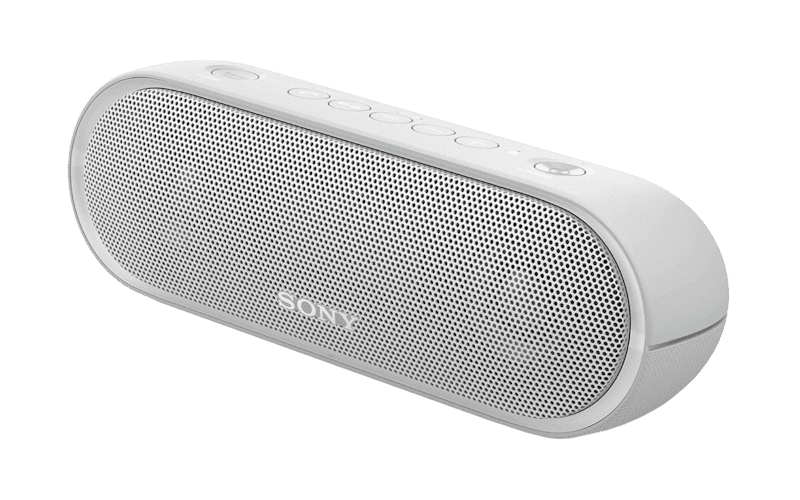 srs xb20 battery