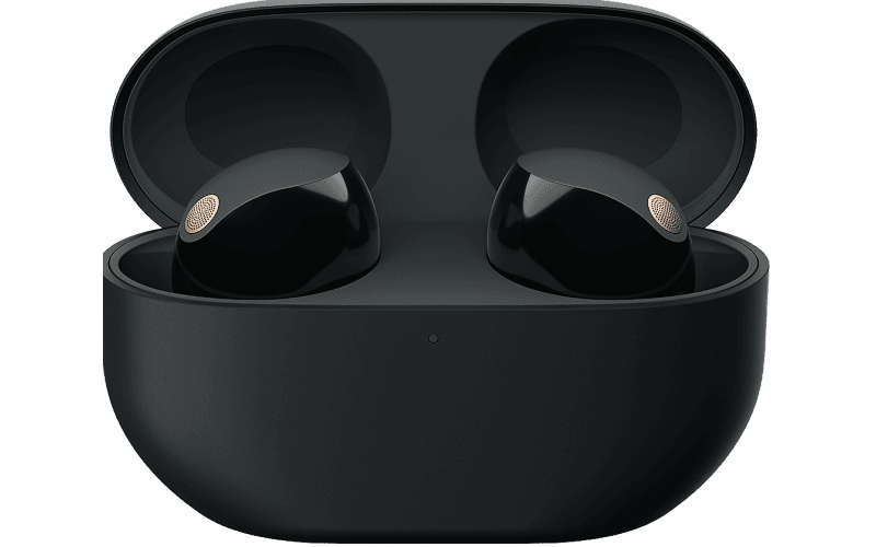 WF1000XM5B.CE7 Secondary Image