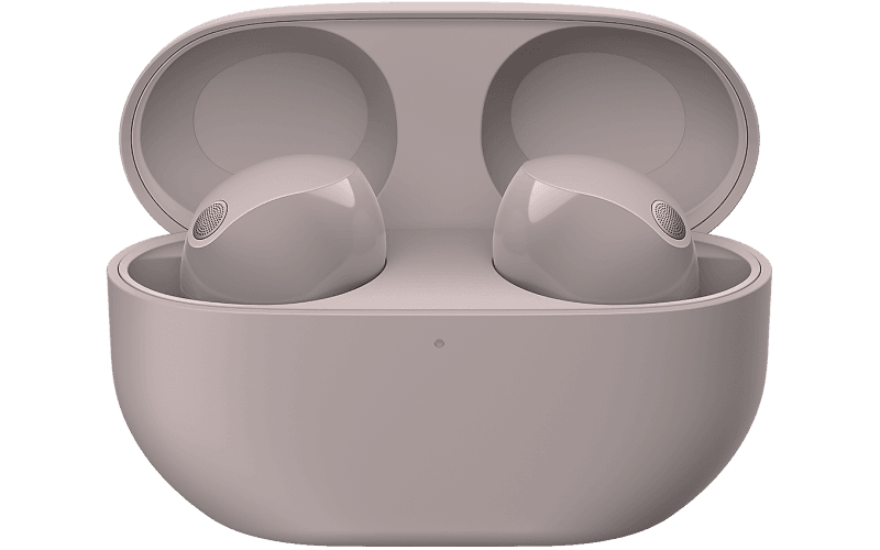 WF1000XM5P.CE7 Secondary Image