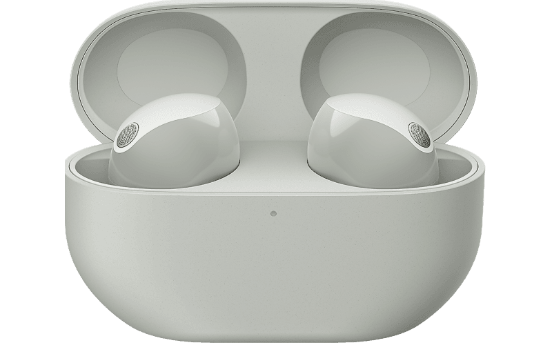 WF1000XM5S.CE7 Secondary Image