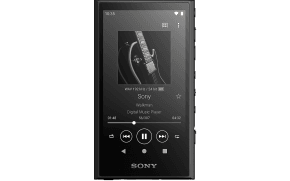 Buy Sony NWE394L, 8GB, MP3 Player w/ FM Radio, Blue